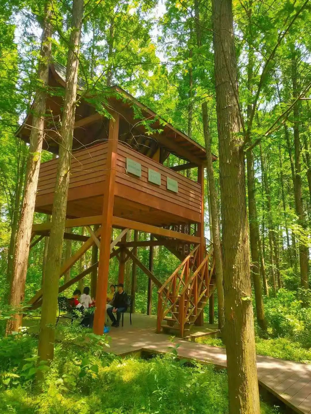 苏州自由行旅游团,苏州两日游旅游团从苏州出发