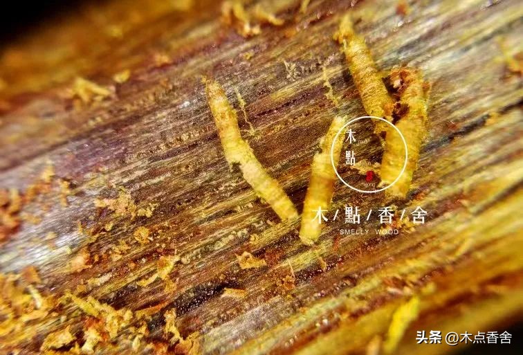 怎样的降真香最好,降真香要怎么把玩