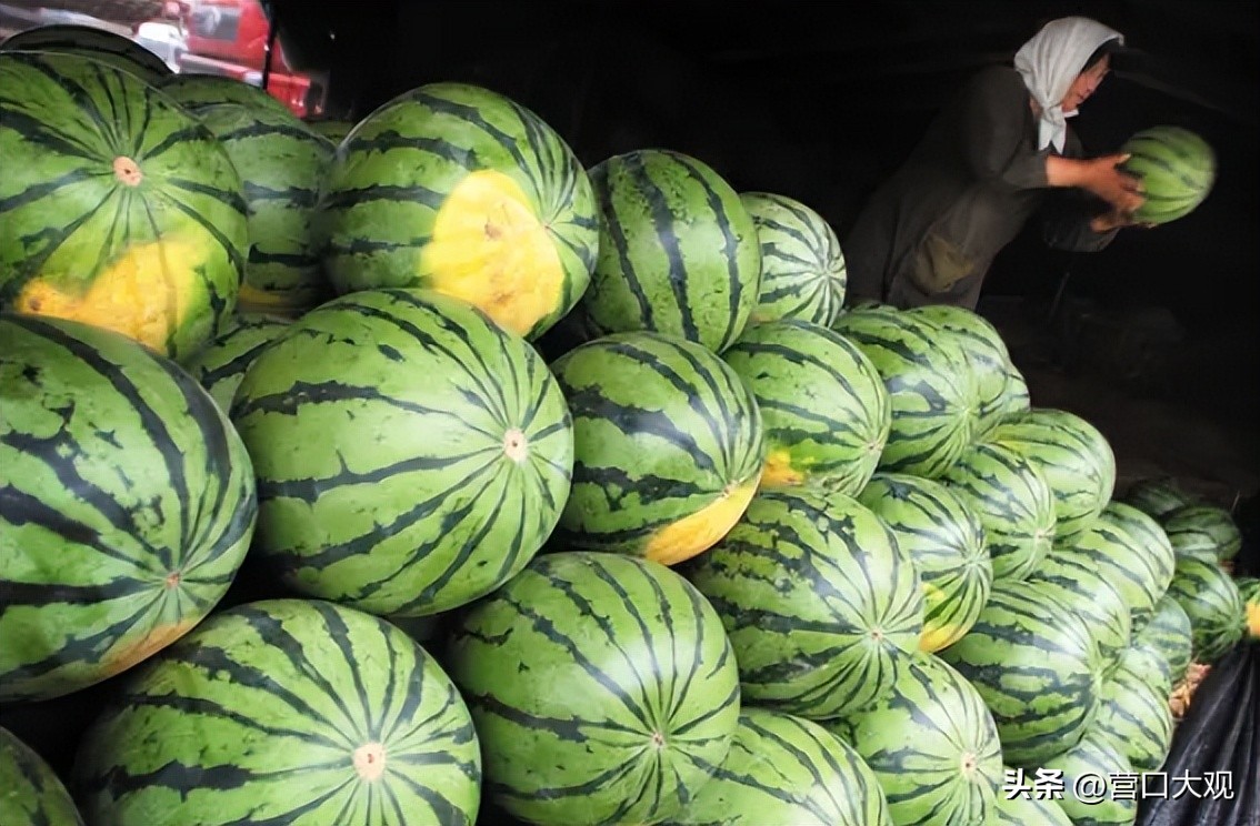 盖州年货直播,土特产直播带货开原市