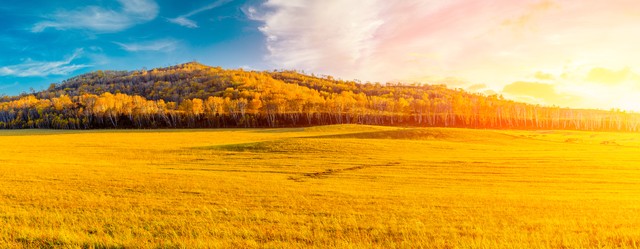 新疆男篮新赛季再迎强援赵睿,新疆新赛区男篮赛程