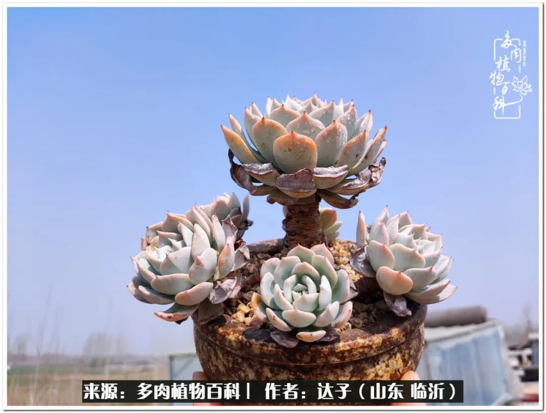 活在当下珍惜眼前平凡的生活,活在当下感慨万千