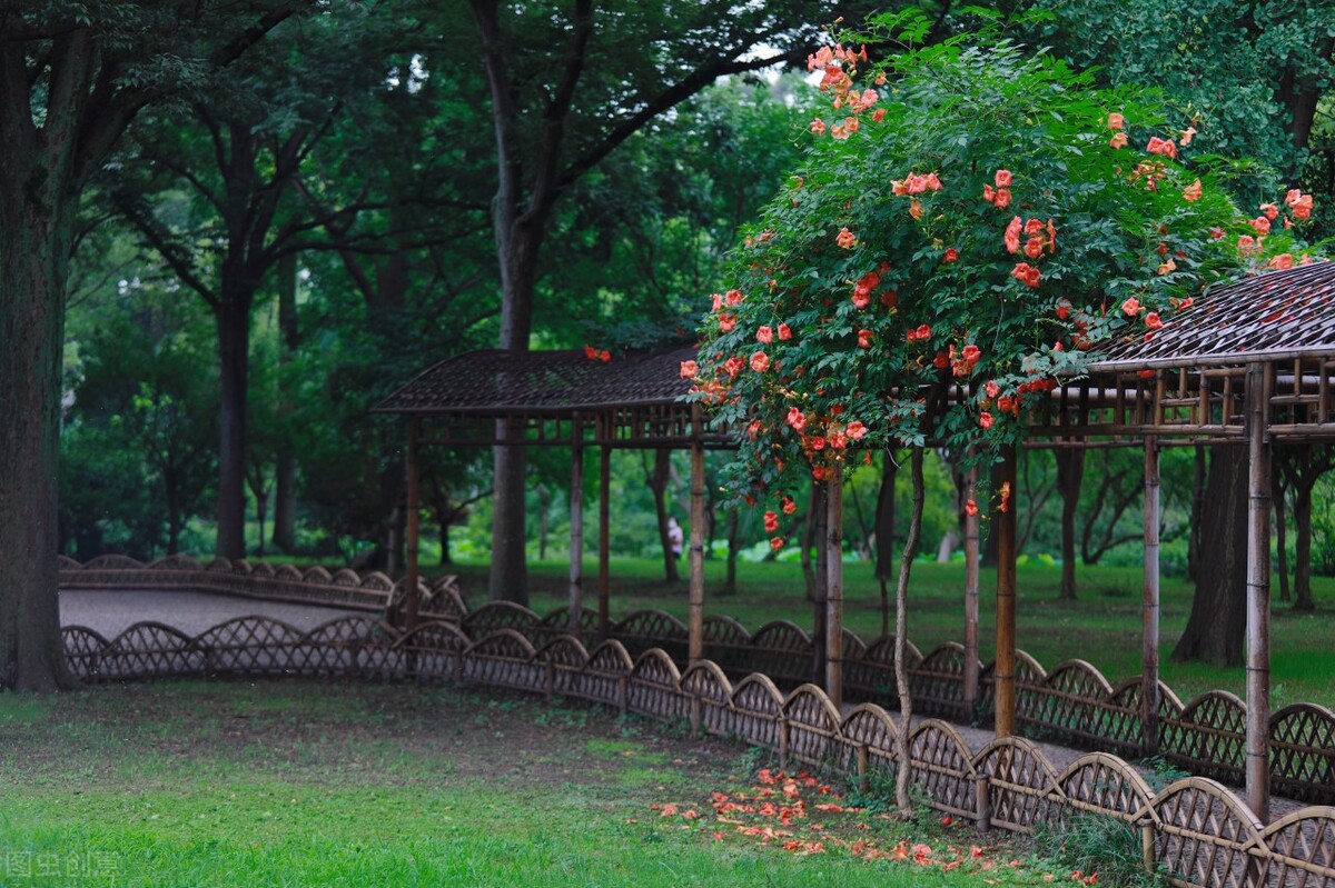 浜戠儫椋庡皹鐭ヤ箮,椋庡皹浜戠儫鍚庣画