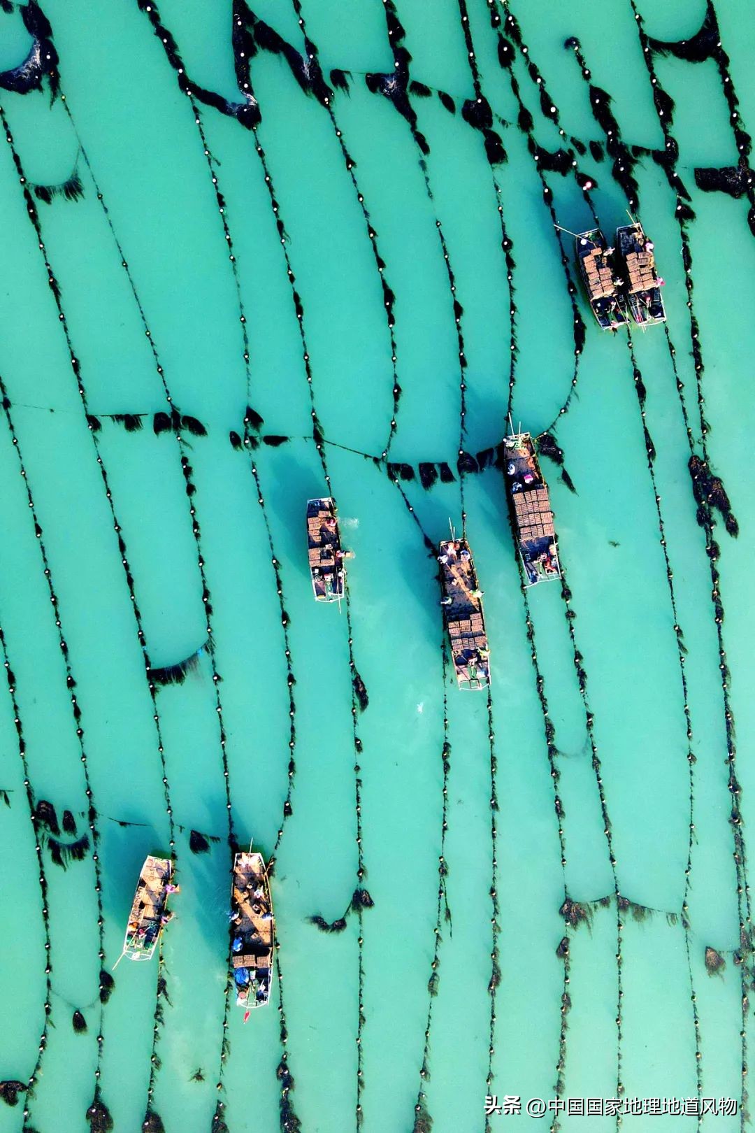 中国第一海鲜大省,中国第一海鲜怎么样