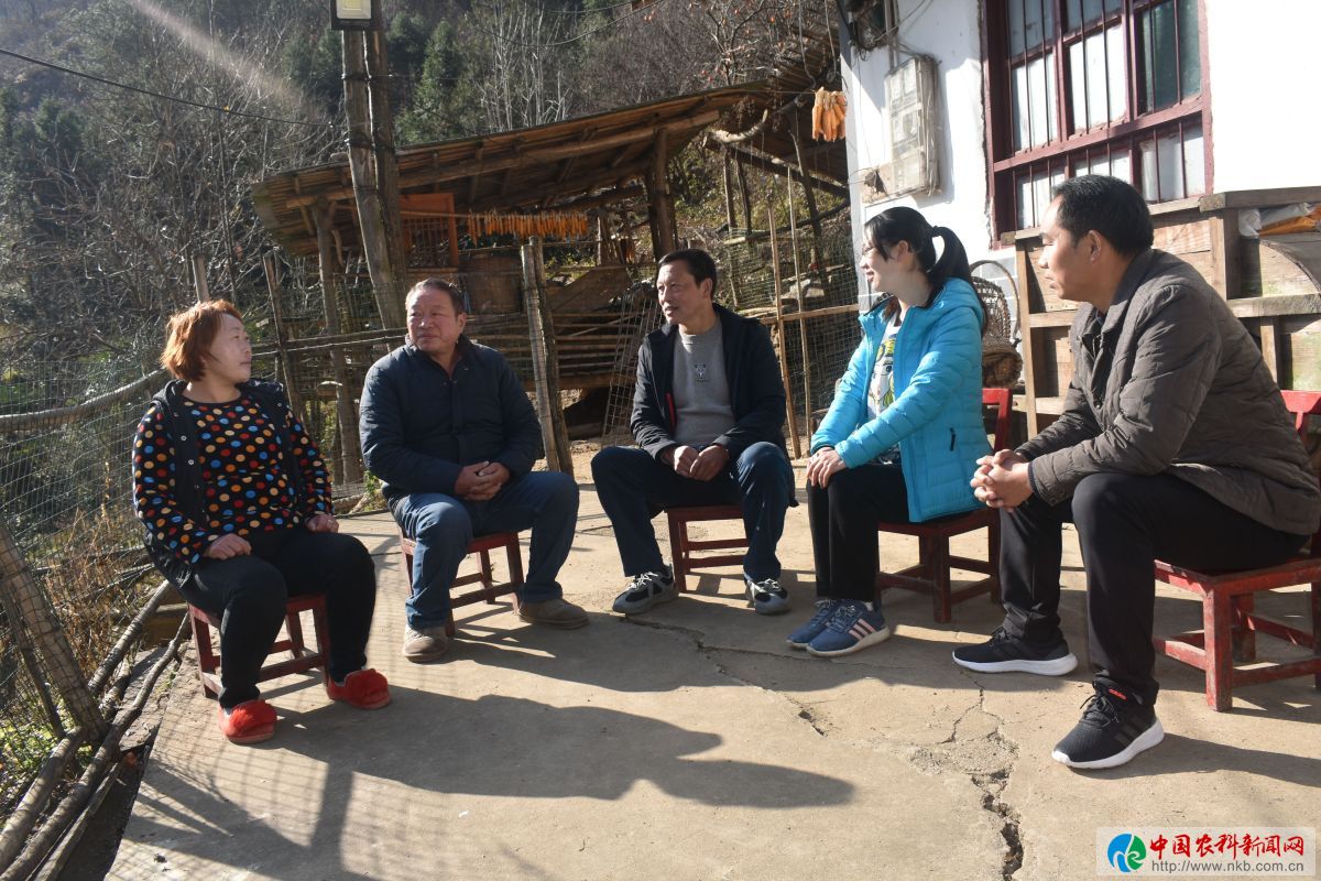 带领村民致富的好支书,好支书助农增收