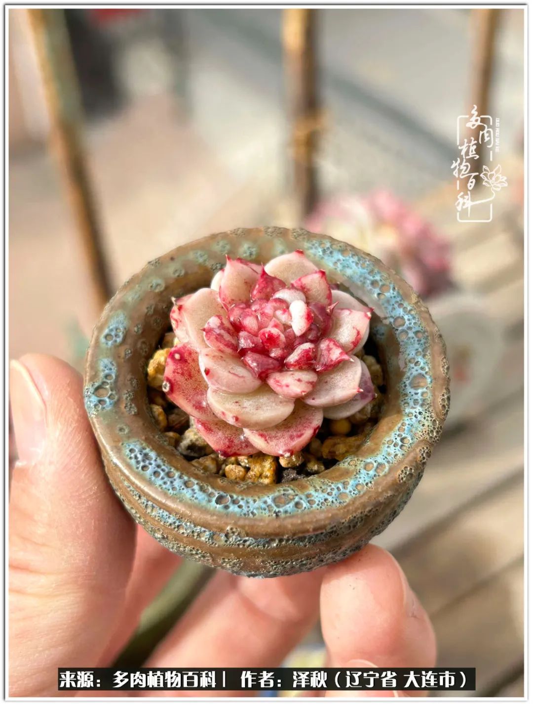 四季轮回之秋天,四季轮回之冬季