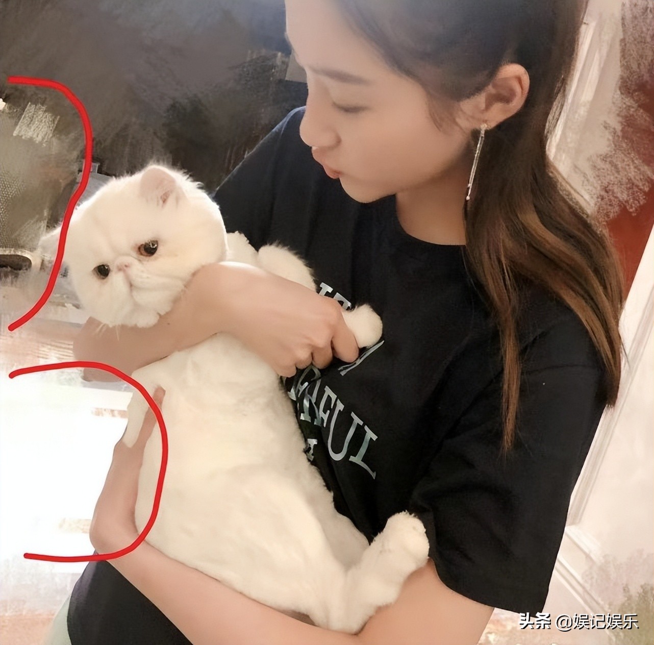 鹿晗爸爸对鹿晗恋情的态度,鹿晗是军人家的孩子吗