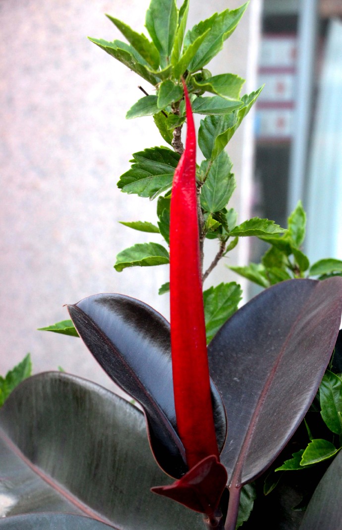 体检·小酌·途中·公园·侄女·其它