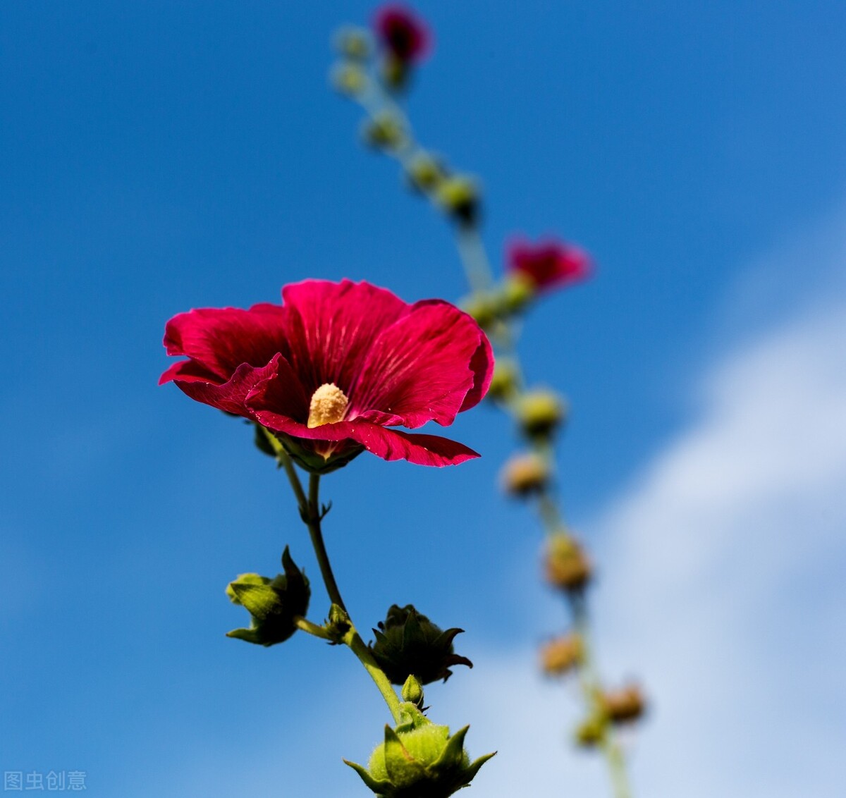 抖音最火的经典语录短句,抖音火了的经典句子短句