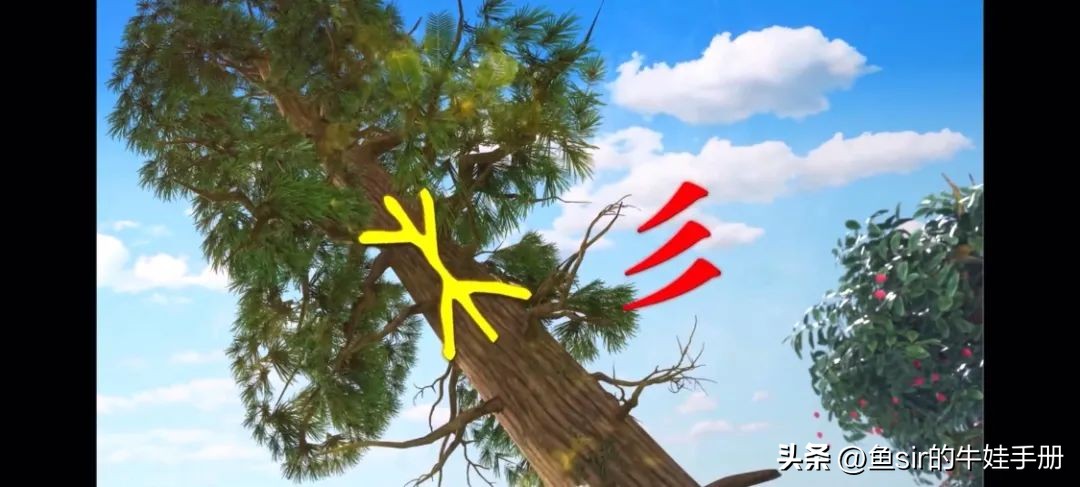 3-7岁必看动画片学习识字,小学必看四部识字动画片