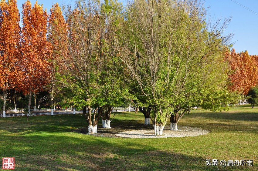 7月郑州凉快遛娃公园排行榜,郑州龙子湖避暑遛娃的地方