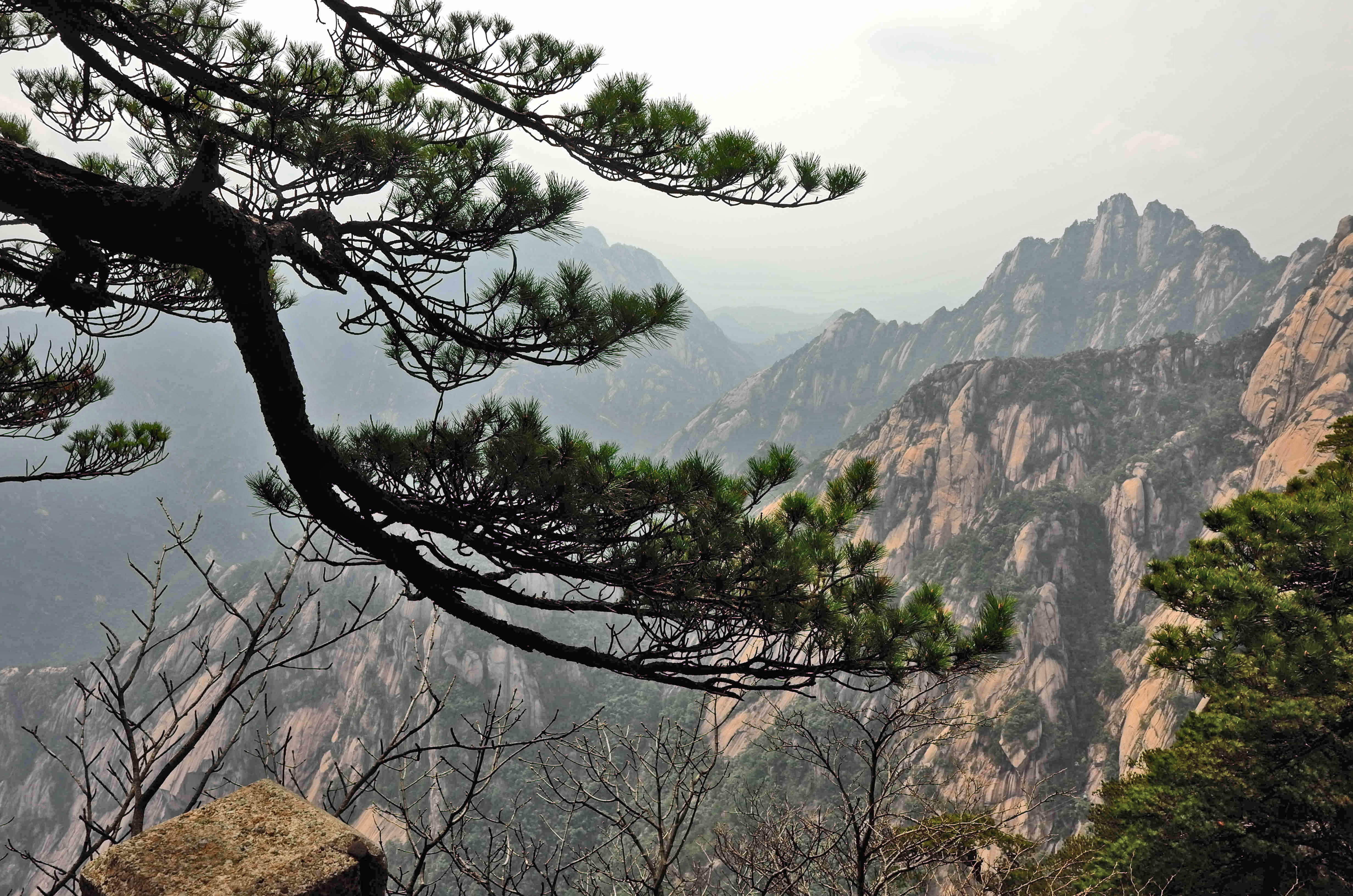 黄山天都峰会走鲫鱼背吗,黄山天都峰鲫鱼背第一视角