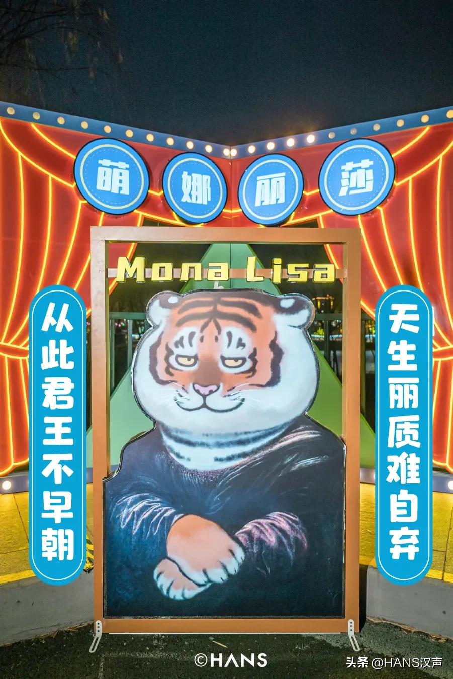 请注意！胖虎出没武汉街头