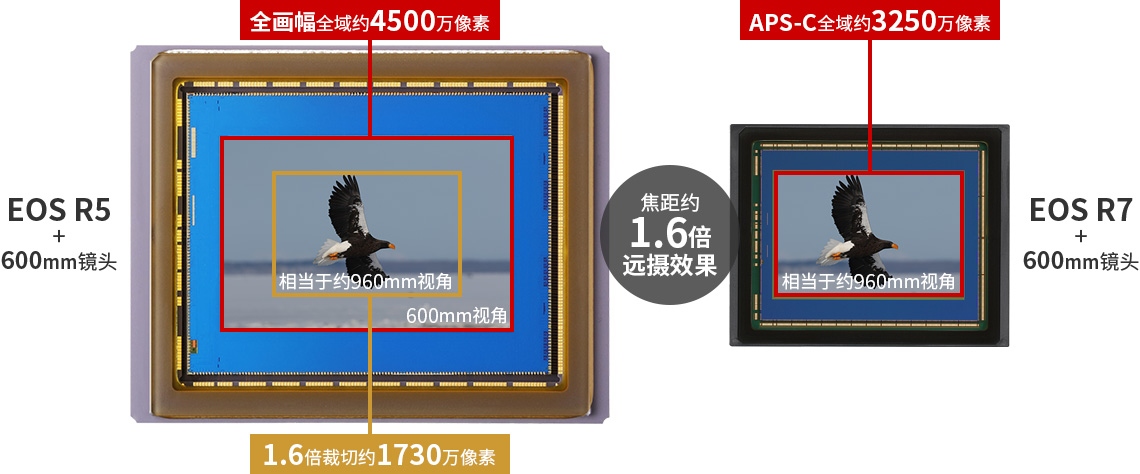 佳能eosr7目前值得买吗,佳能eosr7优缺点