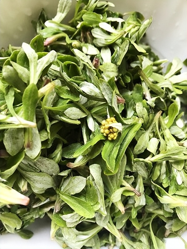 止咳化痰草图片及功效,止咳化痰最快最好的草