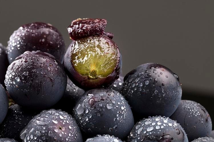 现代农业研究影响因子是多少,酵素对葡萄果实品质的影响