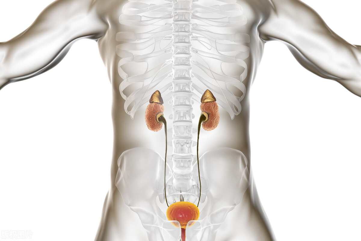 尿蛋白应该避免哪些行为,尿蛋白需要重视吗