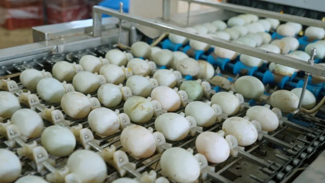 从负债累累到亿万富婆,从负债累累到现在存款几十万