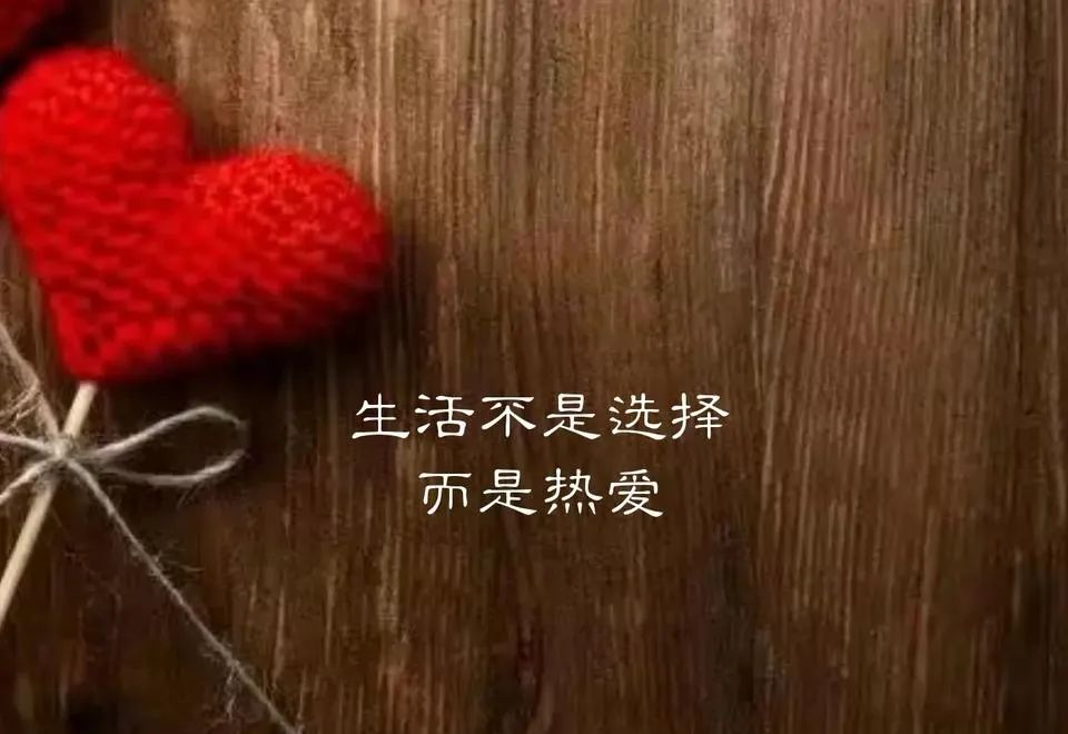 老李谈茶台湾视频,老李侃茶