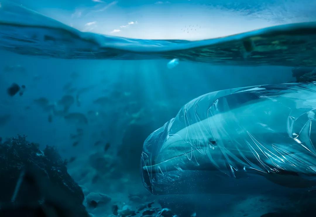 广告设计欣赏费尽心机的创意脑洞,广告设计欣赏有脑洞的广告更吸睛