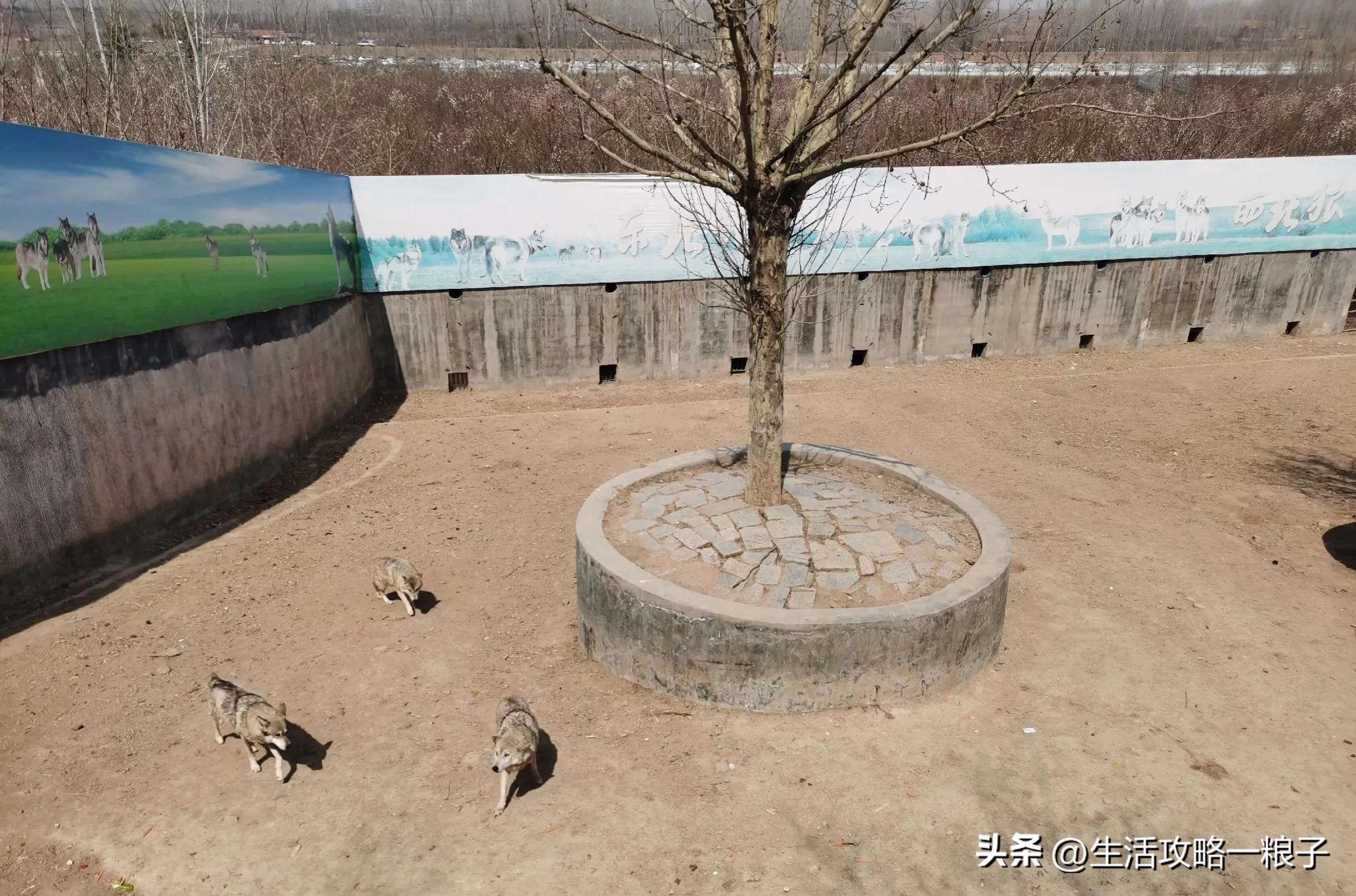 诸城动物园介绍多大面积,潍坊诸城动物园攻略