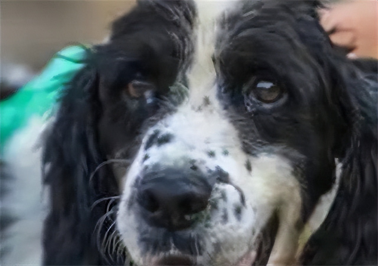 汶川地震搜救战士,汶川地震连续搜救十天十夜