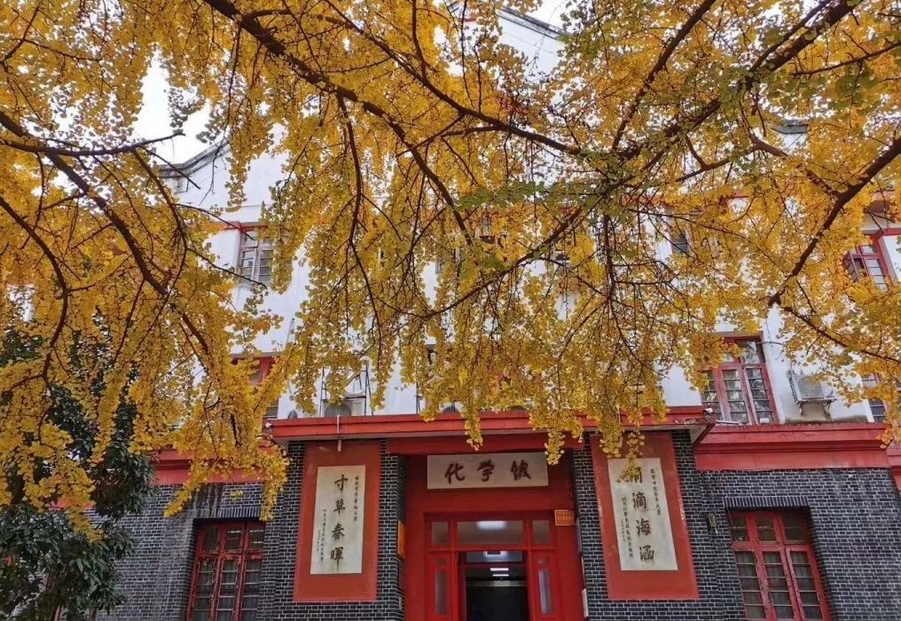 凤翔长空，鼎立华夏！四川大学：铸国之重器，秉家国初心！