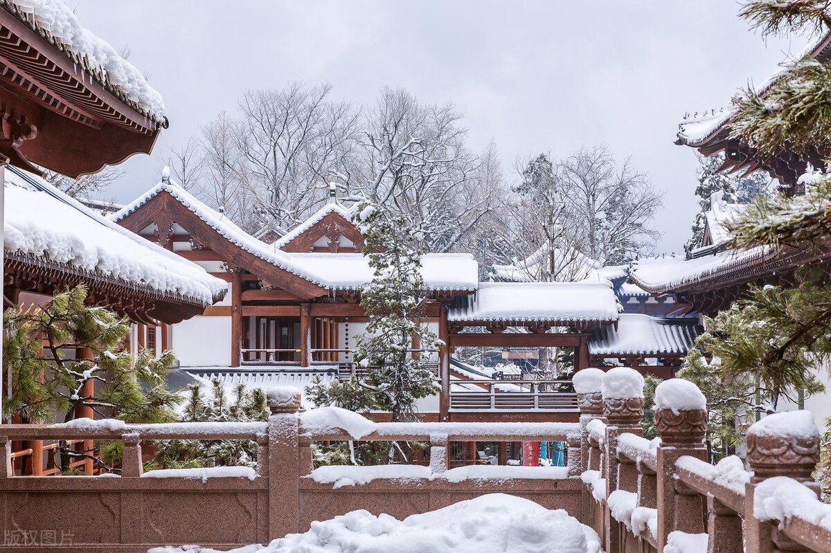 极富盛名的日本茶道源于哪里,日本茶道起源于径山