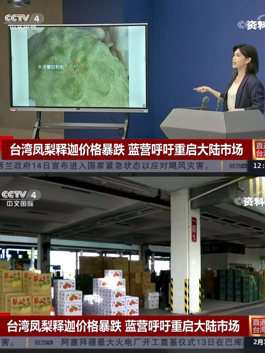 澶ч檰鏆傚仠杩涘彛鍑ゆⅷ鎹熷け澶氬皯,鍙版咕鍑ゆⅷ閲婅喀婊為攢鍐滄皯