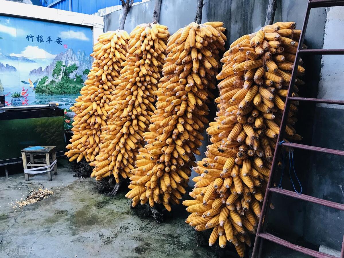 乡情散文难忘那段拾柴火的岁月,我的青葱岁月乡土散文