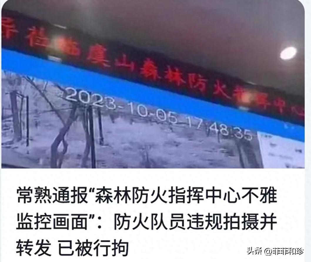 常熟森林防火中心淫秽视频后续：传播视频者被抓，男女见面都不好