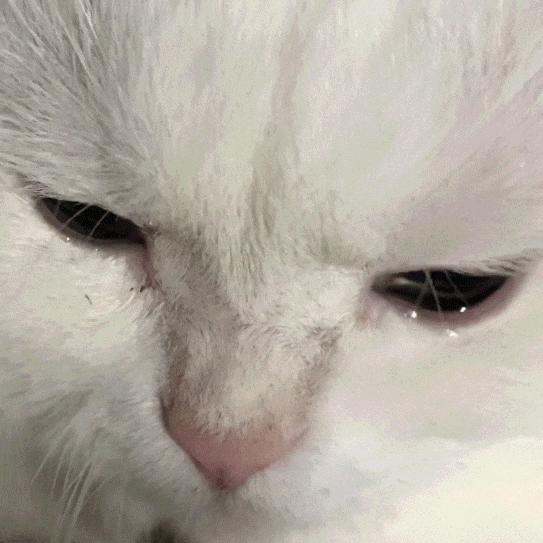 笑死了，女朋友说她昨晚游泳去了，这晒痕就是最好的证明