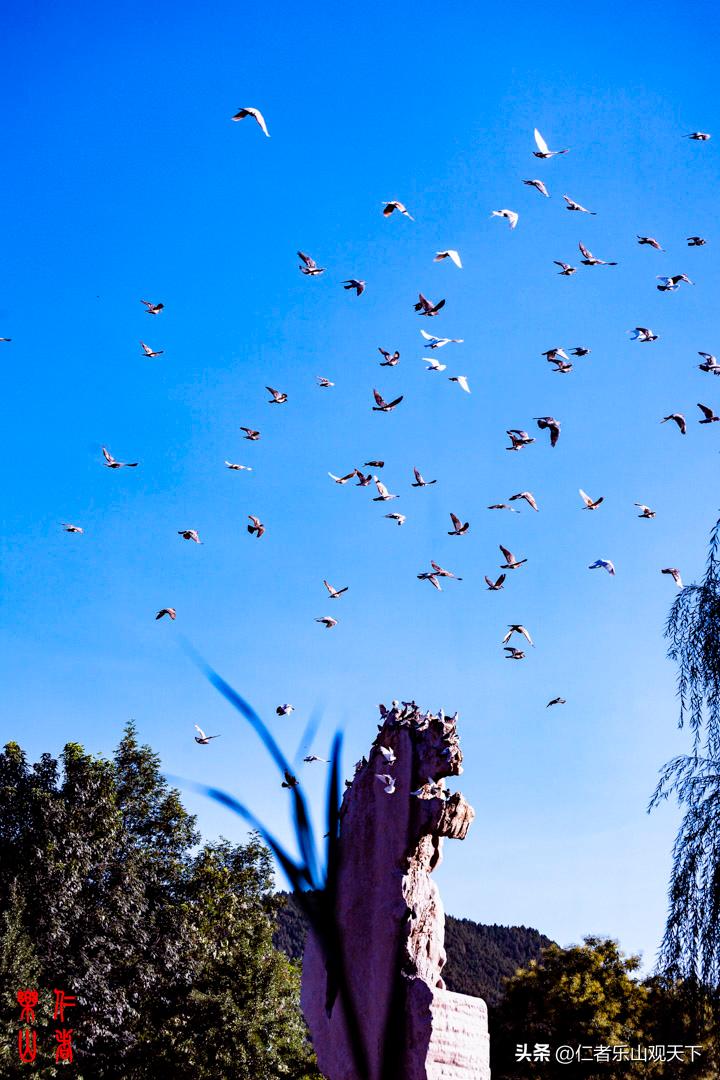 最后的摇曳——只为那绳命的回晃