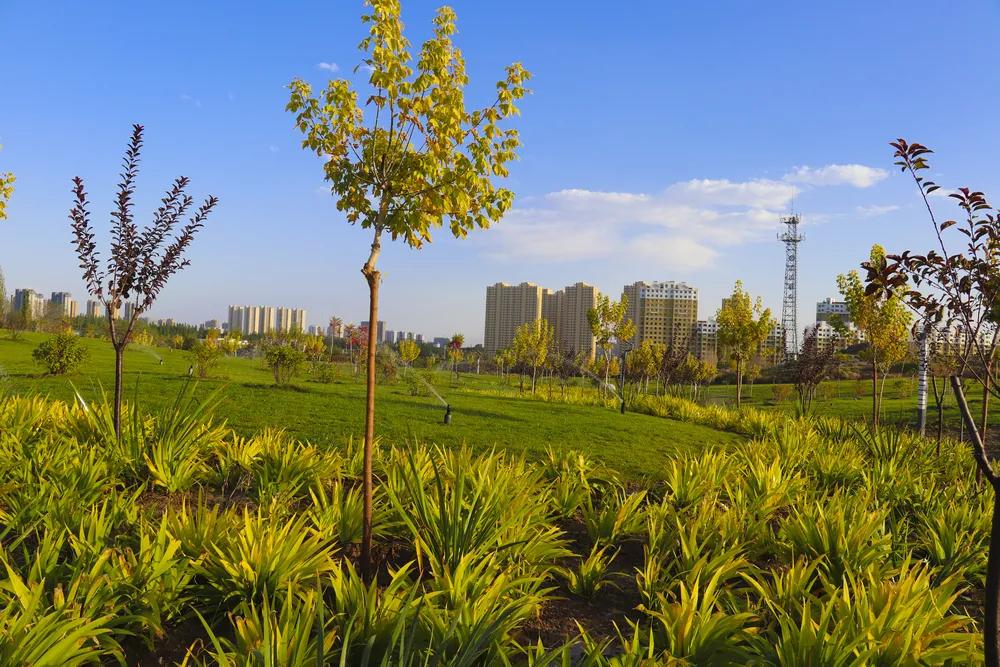 更有“温度”更有“热度”……白银区，一座值得爱的城市