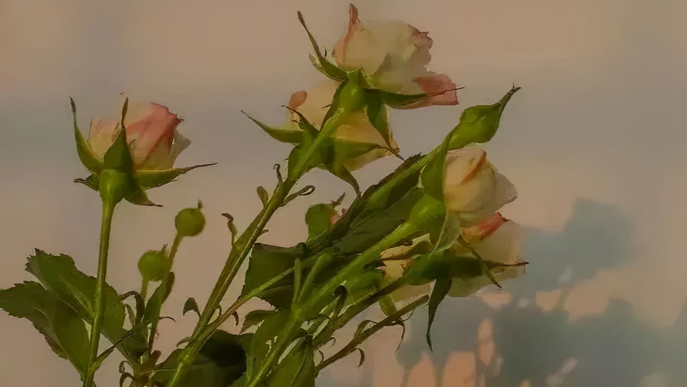 想了很久怎么描写,想了很久怎么说有诗意