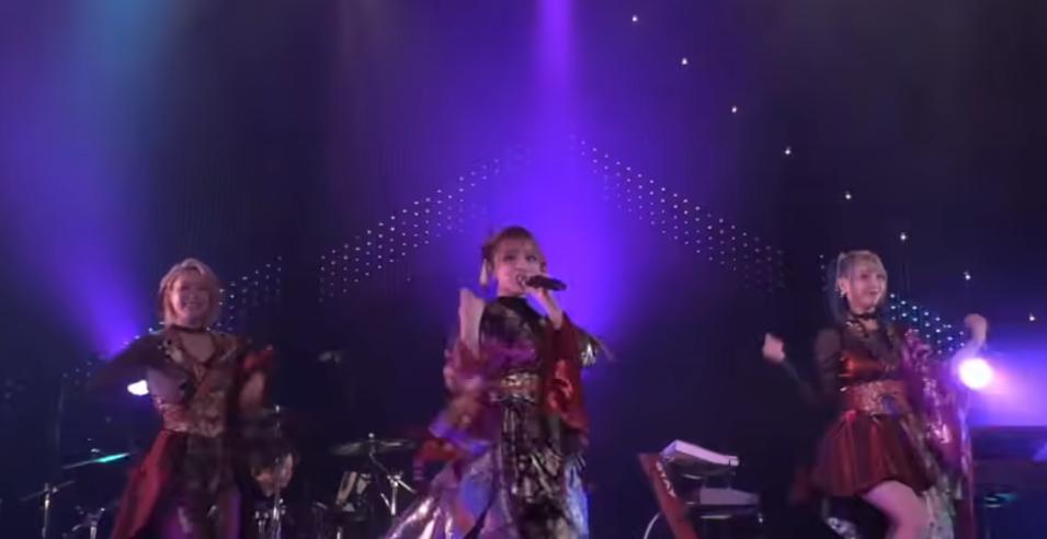 极乐净土为什么在二次元很火,极乐净土见证二次元的强大