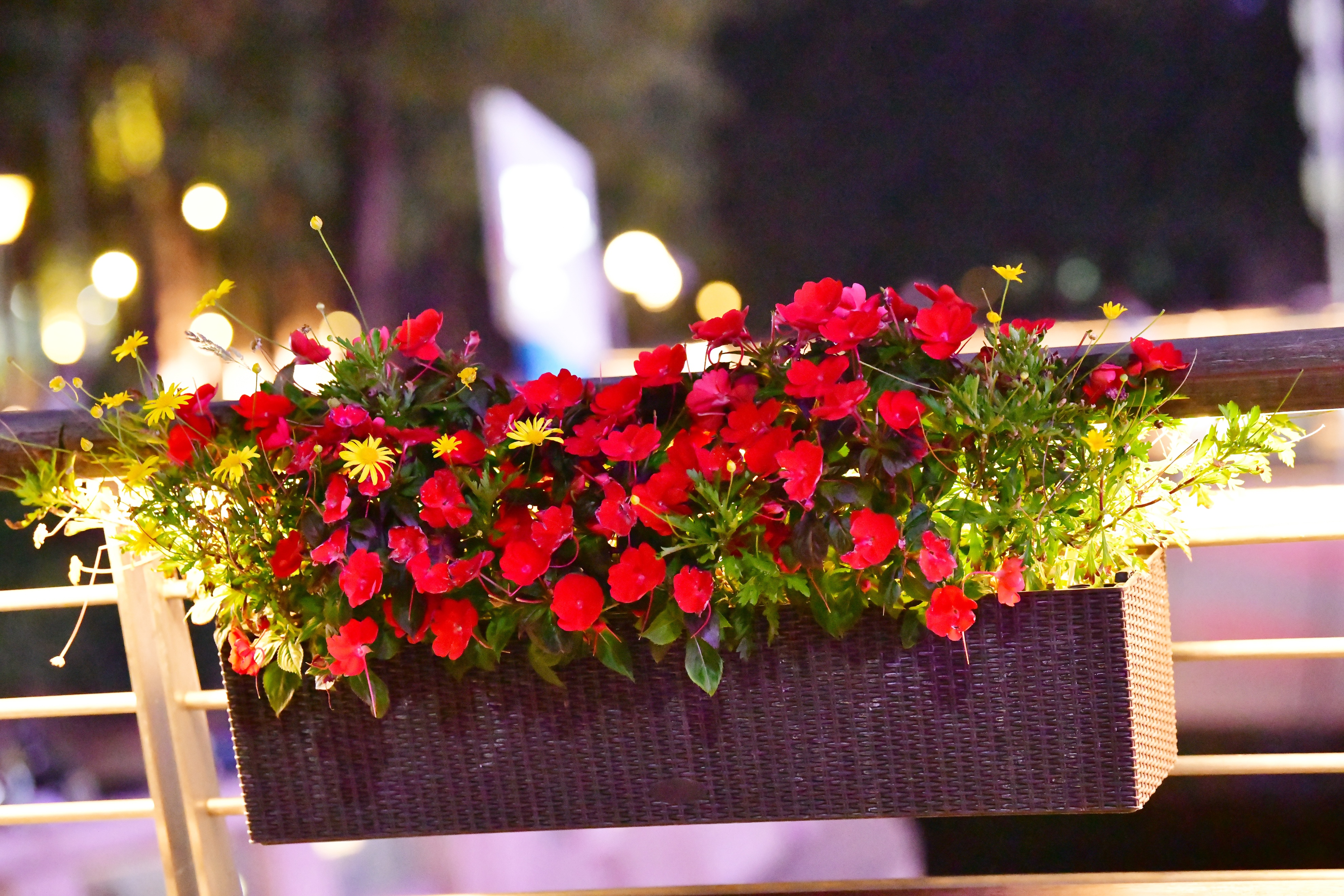 广州海心沙亚运公园视频,广州海心沙亚运公园游览图