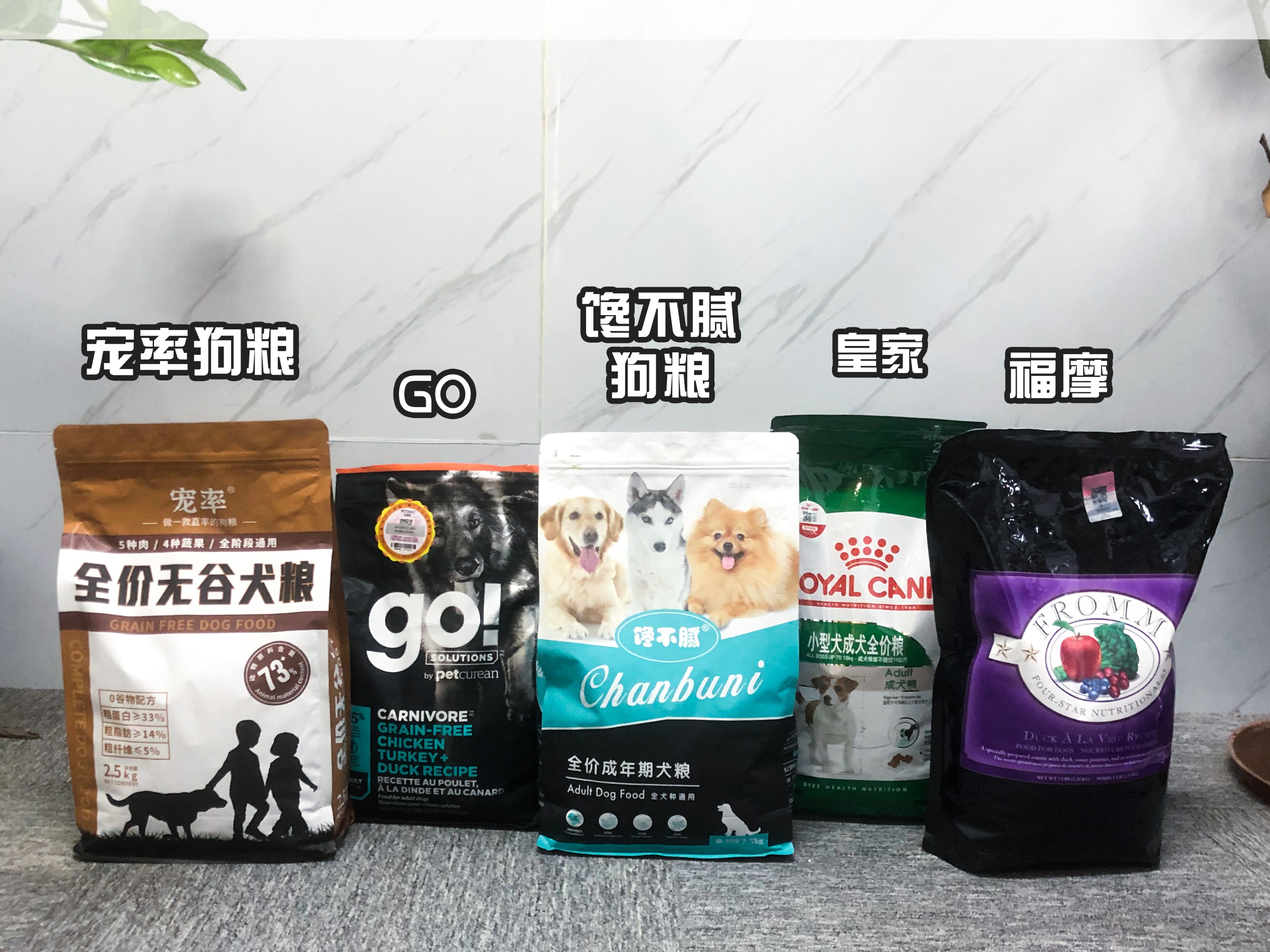 猫的胡子有多长就能钻过多大的洞,猫咪的胡子就像一把尺子可以测量