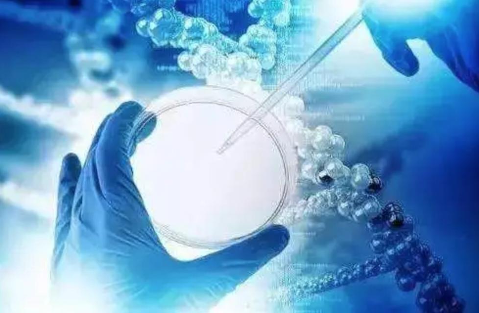 乙肝异源初免-增强免疫疗法,可绕过耐受性,诱导广泛的中和抗体