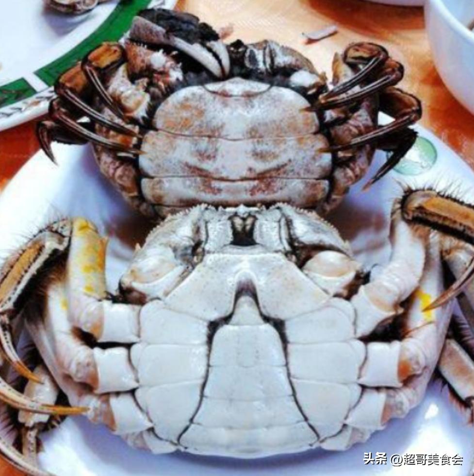 螃蟹怎么买才肉多,螃蟹怎么挑选才不被坑