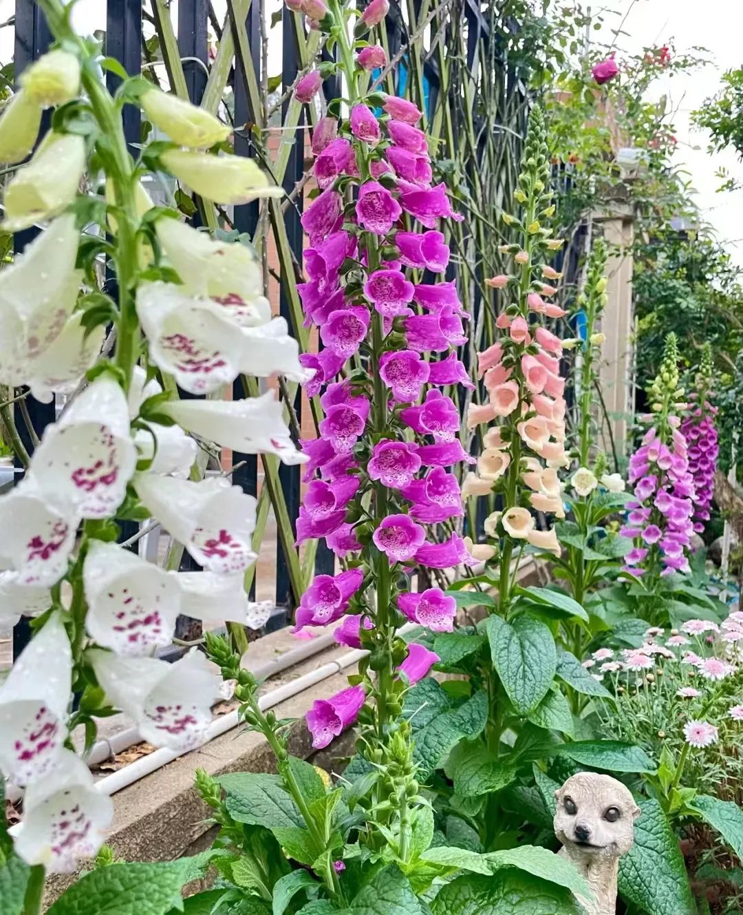 一年四季家庭种花播种时间表,南方一年四季蔬菜播种时间表