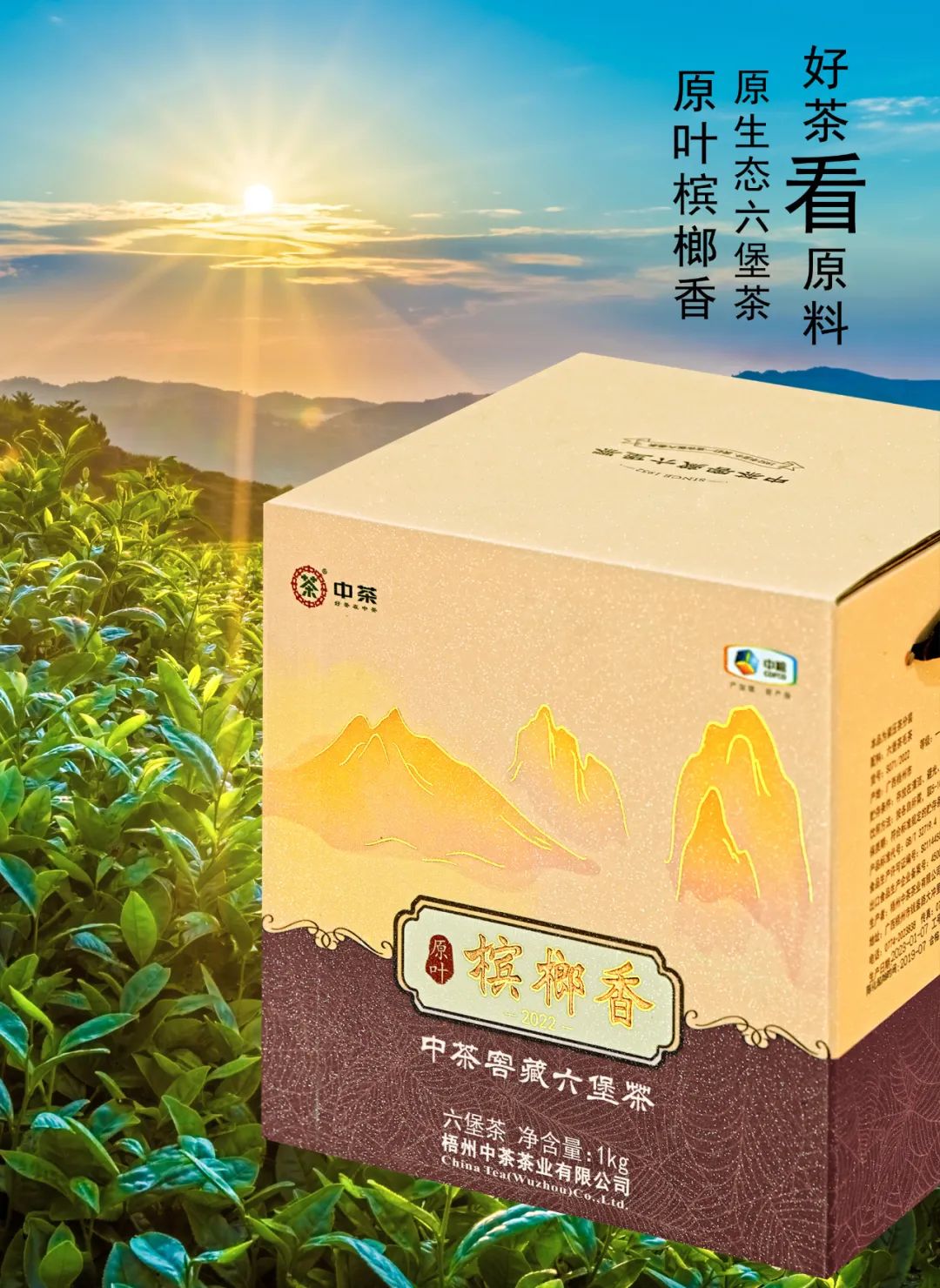 中茶窖藏六堡茶中国红特级,中茶高山野韵和原叶槟榔香哪个好