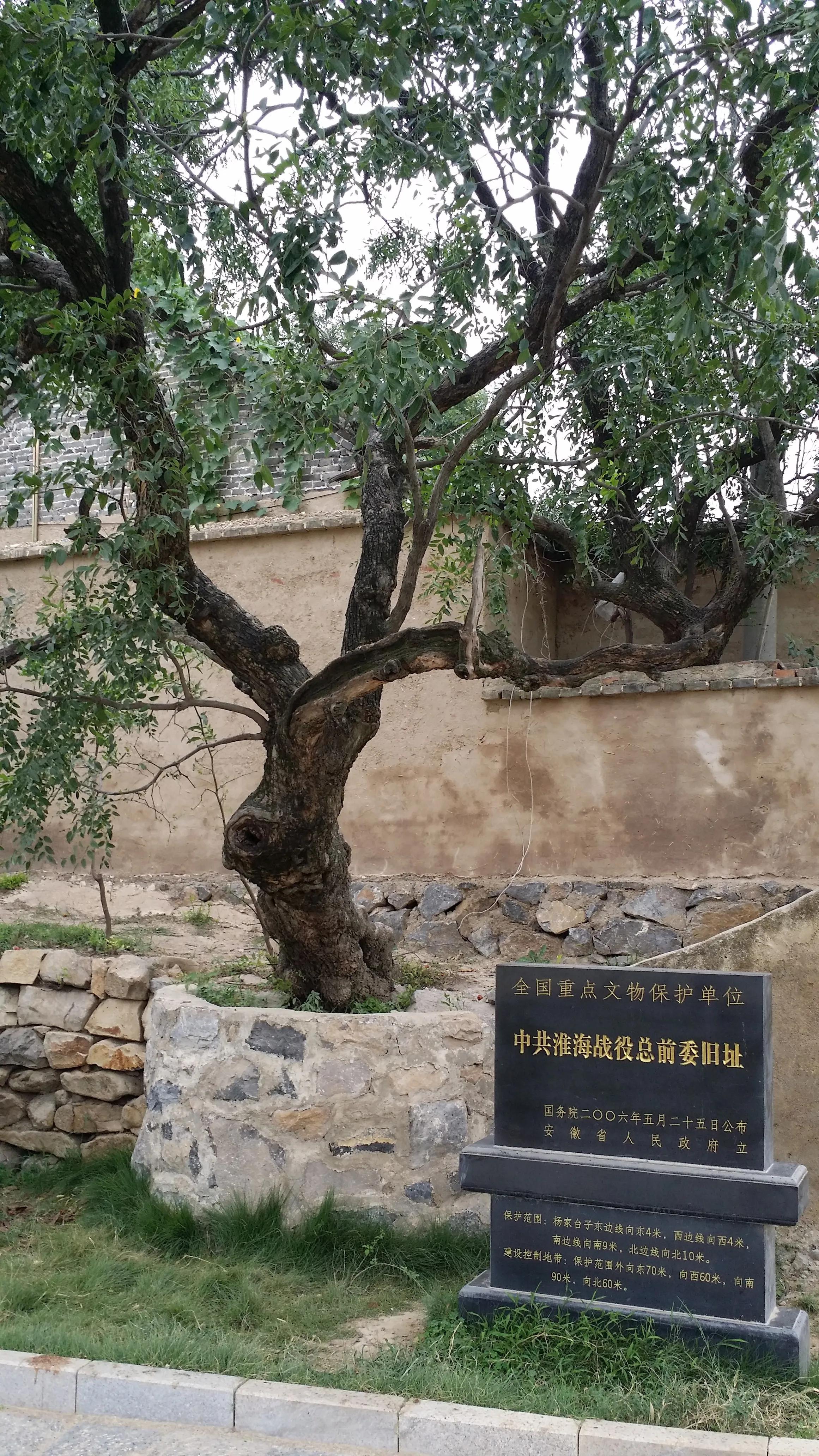 萧县周边一日游攻略,萧县周边旅游景点推荐一日游