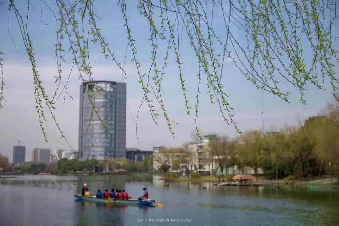 浙江大学中国最美校园,浙江大学玉泉校区校园