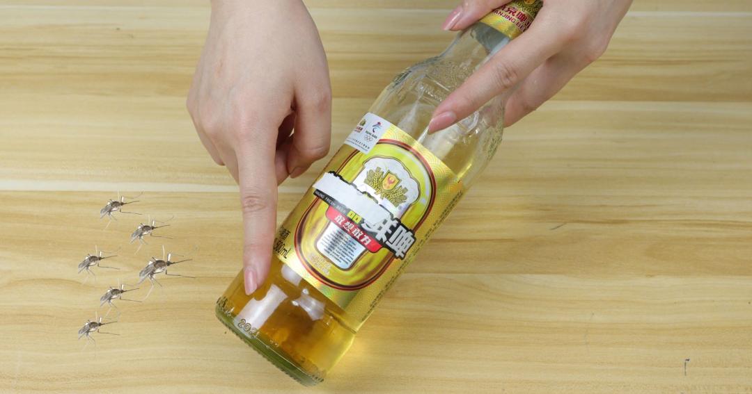没蚊香睡觉防蚊子的最好办法,蚊子怕什么不用点蚊香用这几招
