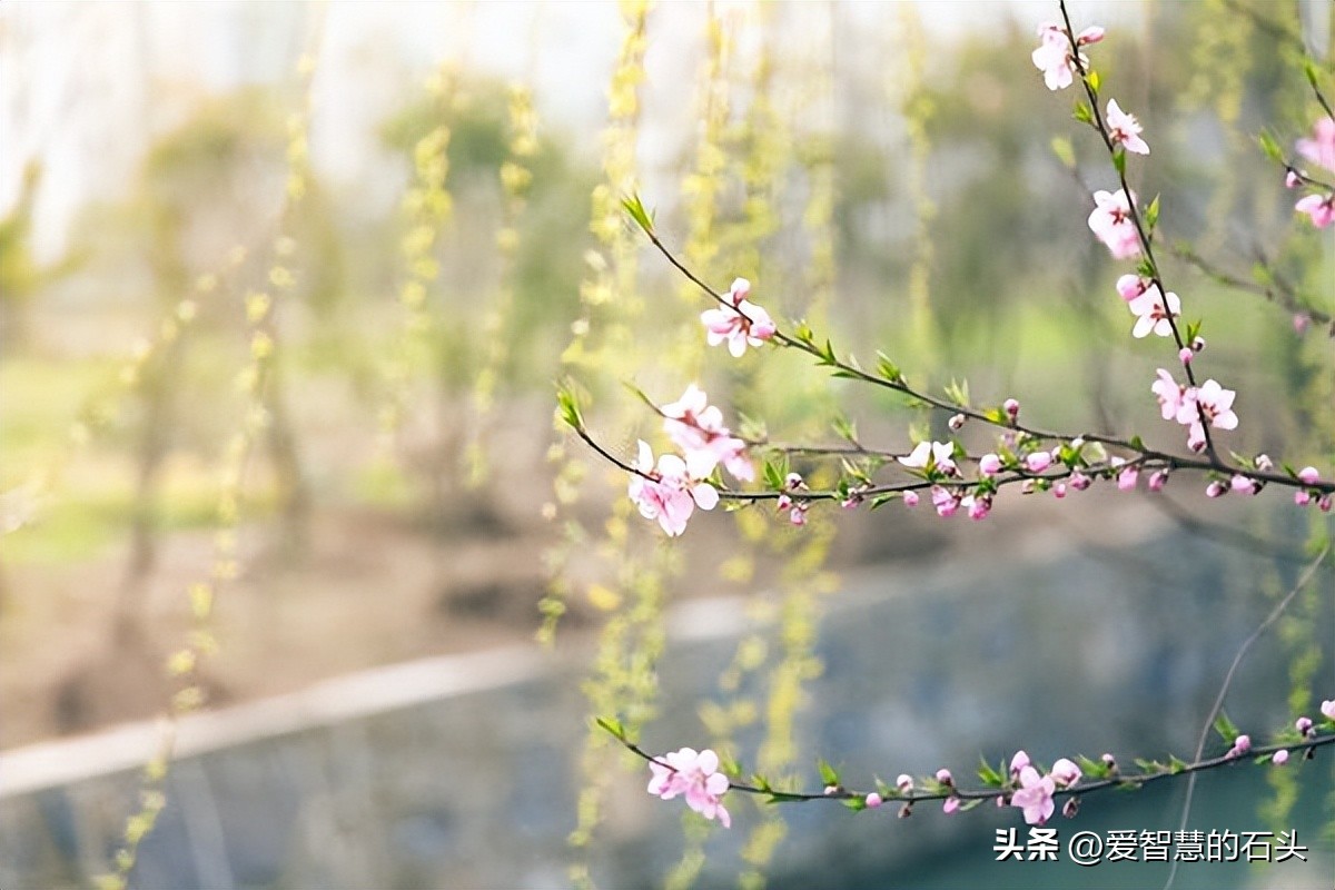 几句话就能看出一个人的层次高低,层次高的人有七种特征