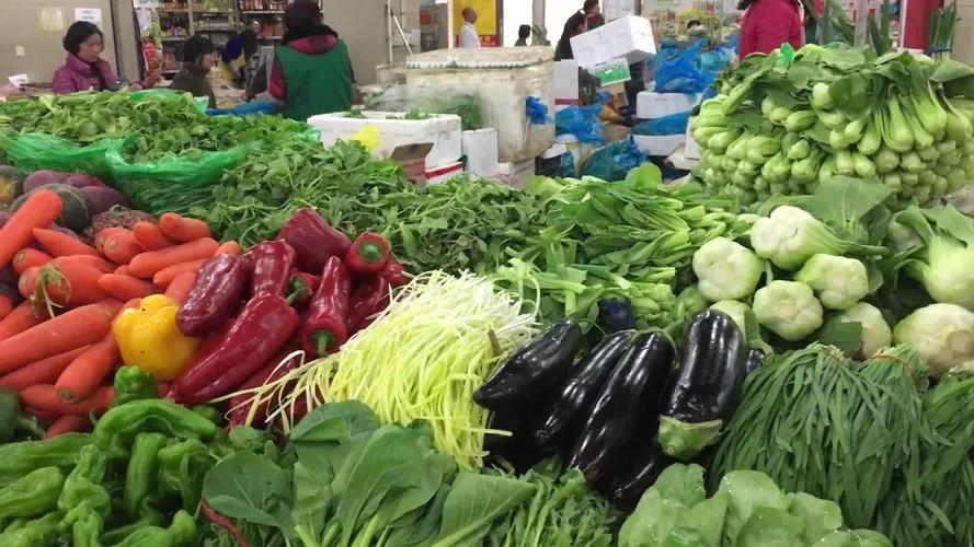 疫情后上海图书馆还开门吗,浦东图书馆正常开放了吗