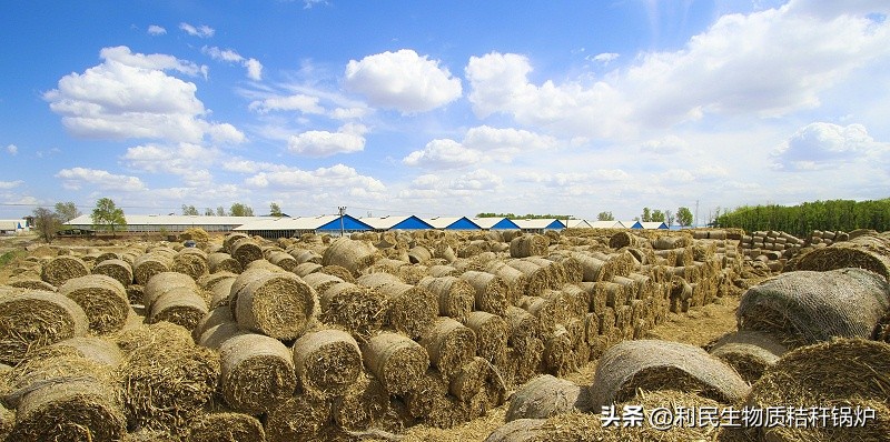 绉哥鎵撴崋鐩寸噧,鍙互鐑ф暣鎹嗙帀绫崇Ц绉嗙殑閿呯倝