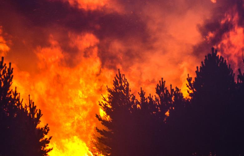 巨骗*相贵陈**：悍马购手机号，狱中坠落