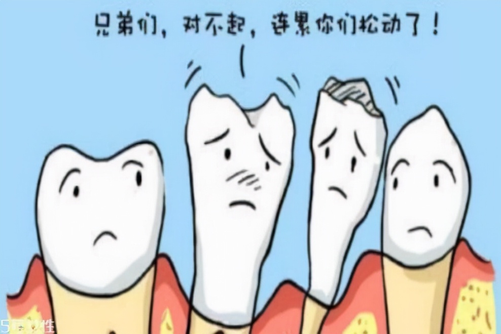 牙齿里的那些事儿,牙齿那些事微课