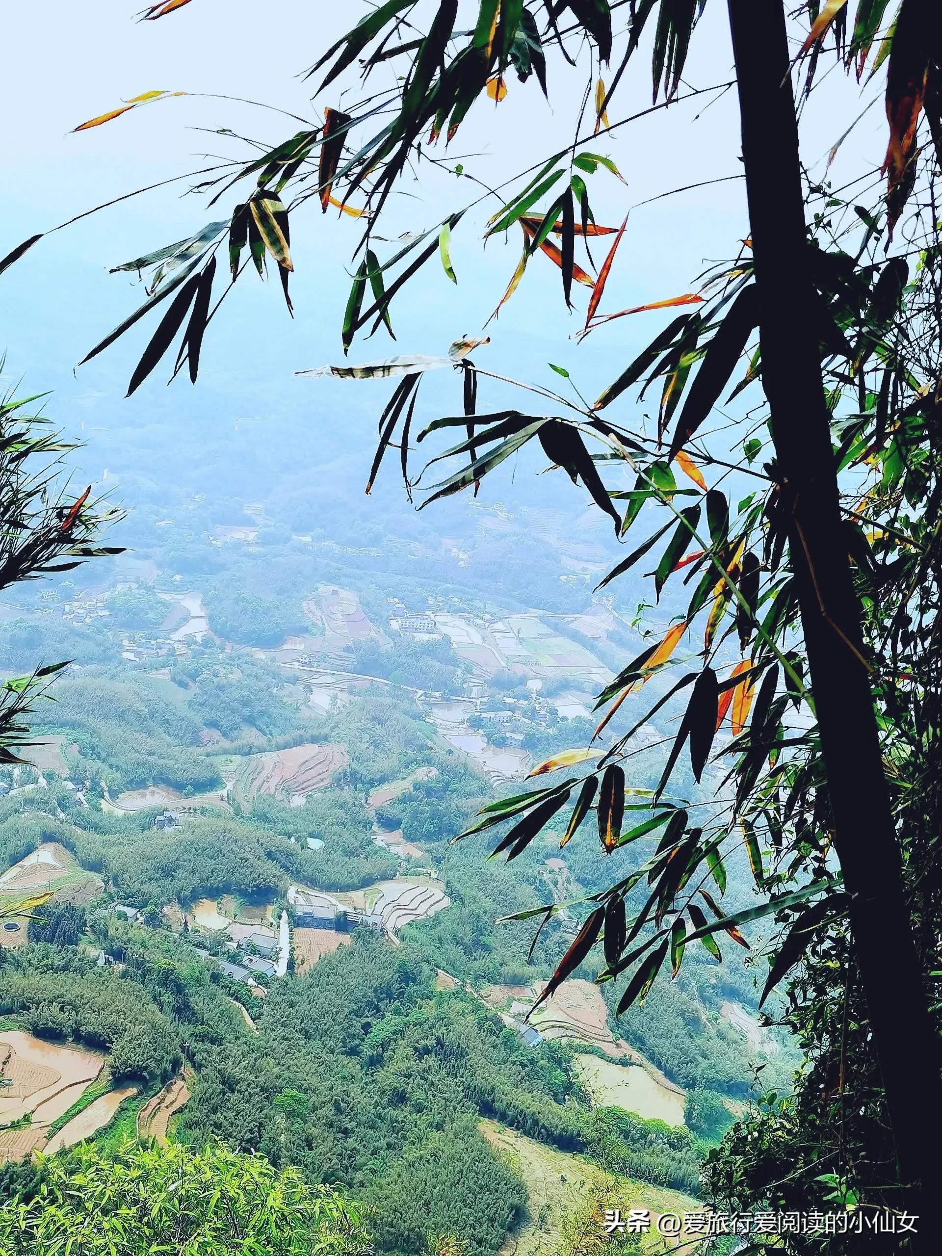 蜀南竹海自然生态景区,蜀南竹海云雾缭绕人间仙境